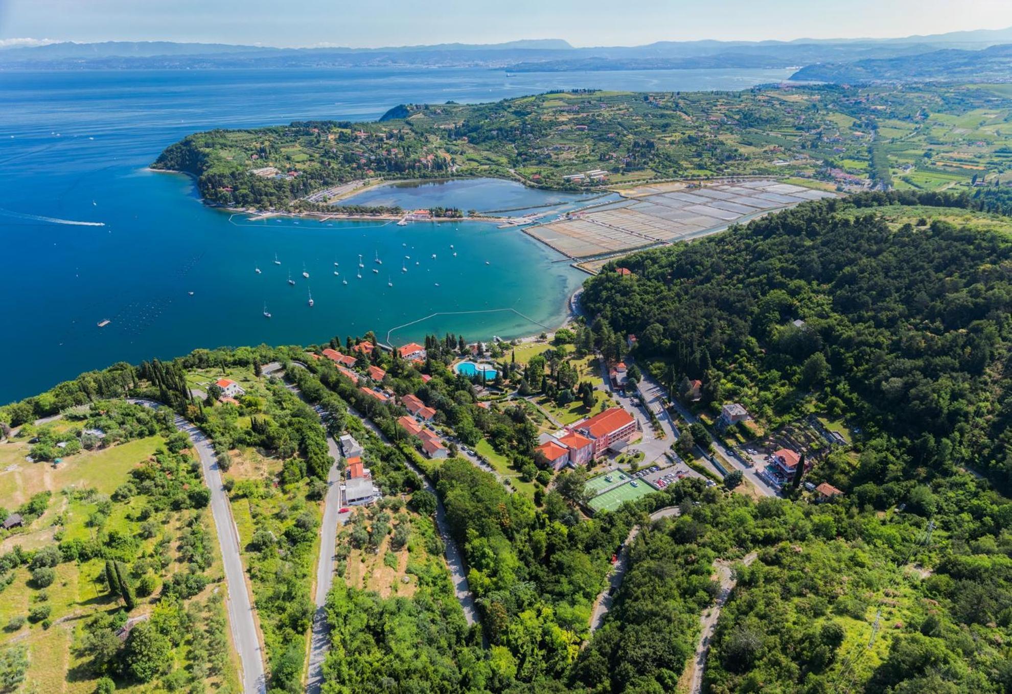 Sea View Apartment Renzzo Strunjan Exterior photo
