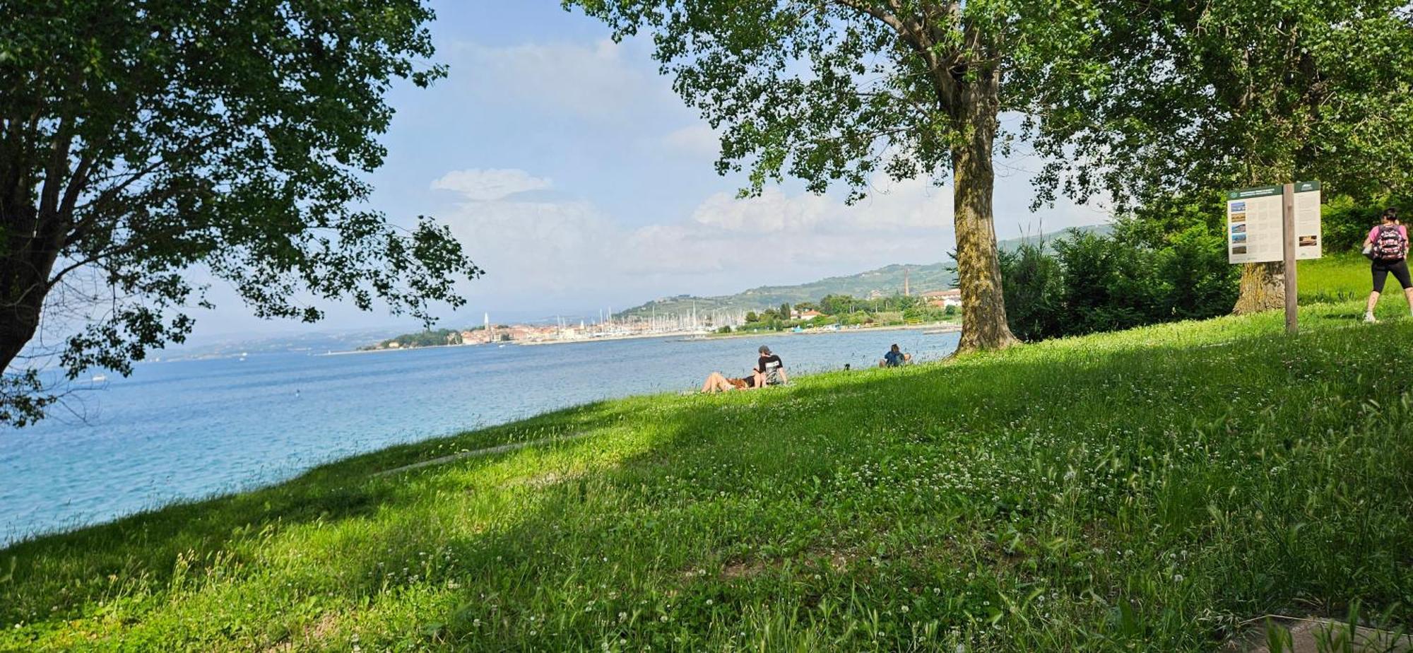 Sea View Apartment Renzzo Strunjan Exterior photo