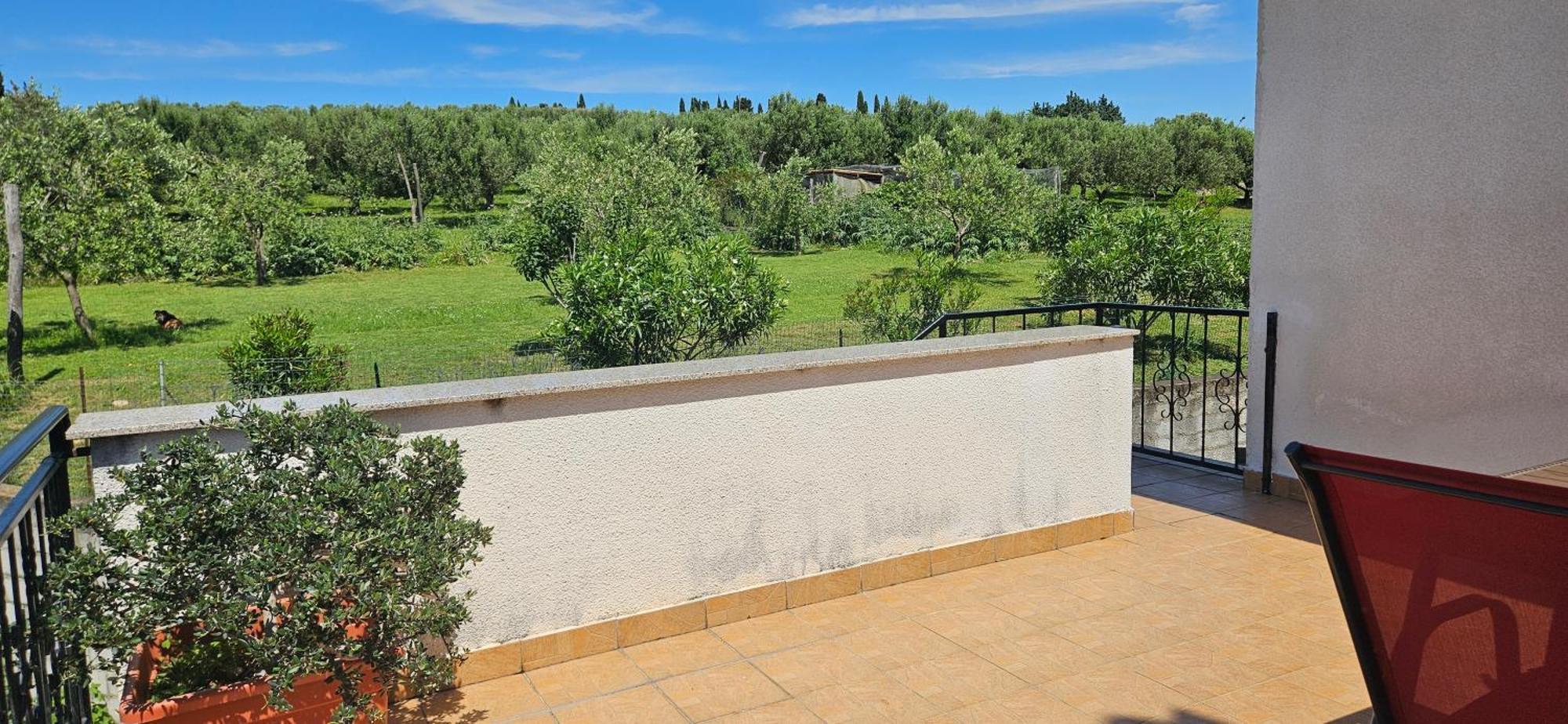 Sea View Apartment Renzzo Strunjan Exterior photo