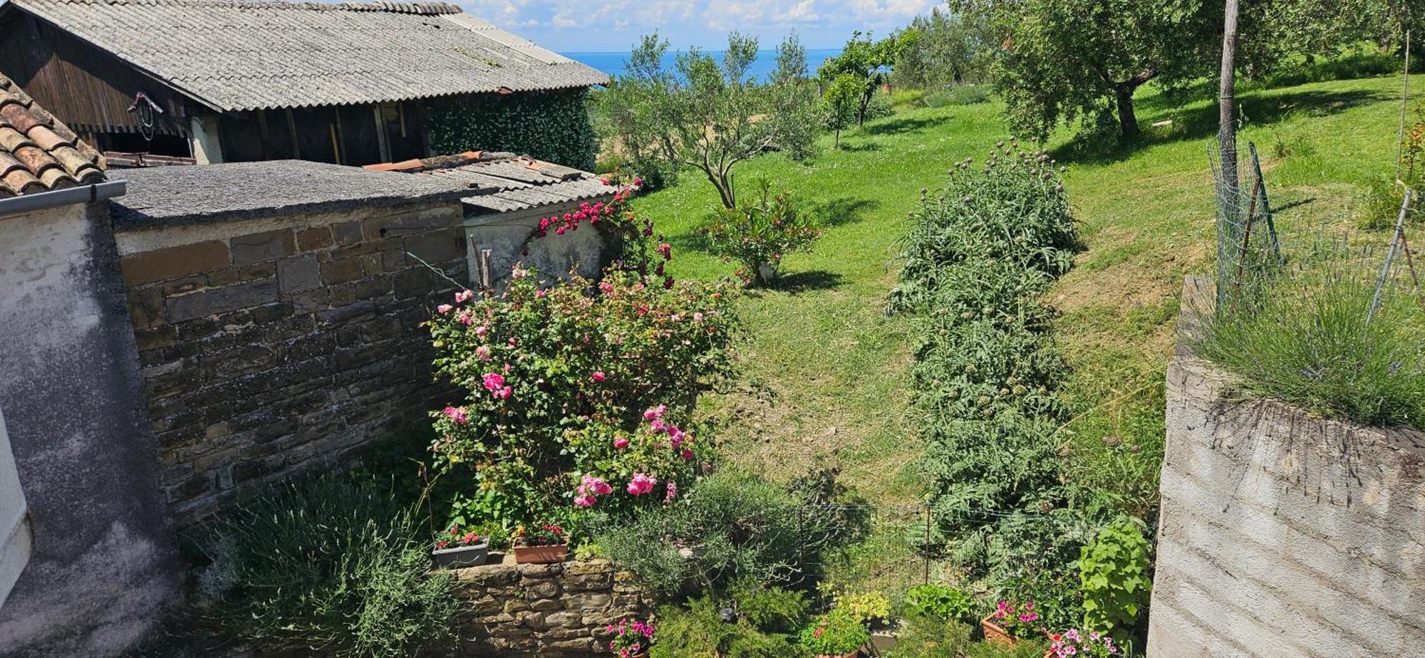 Sea View Apartment Renzzo Strunjan Exterior photo